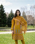 Cotton three piece embroided suit image 0